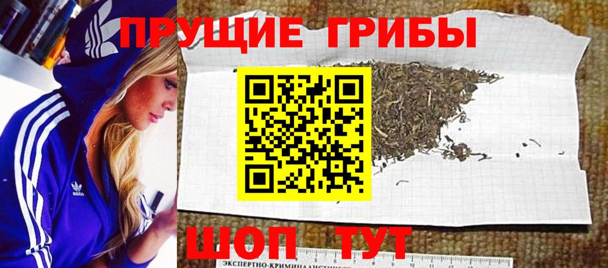 Псилоцибиновые грибы прущие грибы Краснокамск