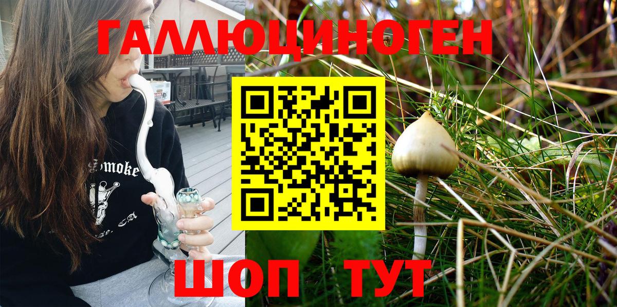 Галлюциногенные грибы прущие грибы  Краснокамск 