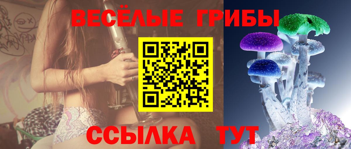 Галлюциногенные грибы GOLDEN TEACHER  Псилоцибиновые грибы ЛСД  Краснокамск  магазин    Вход с VPN 