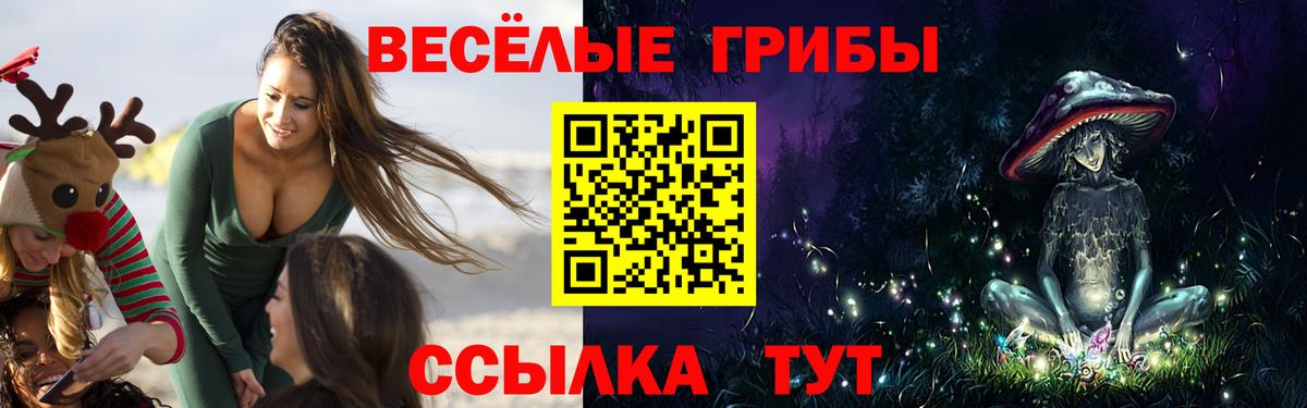 Псилоцибиновые грибы Cubensis Краснокамск